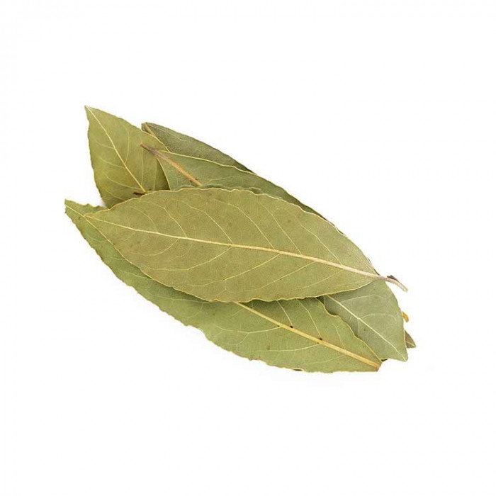 Laurier (feuille)